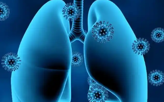 文献解读|Signal Transduct Target Ther（52.7）：