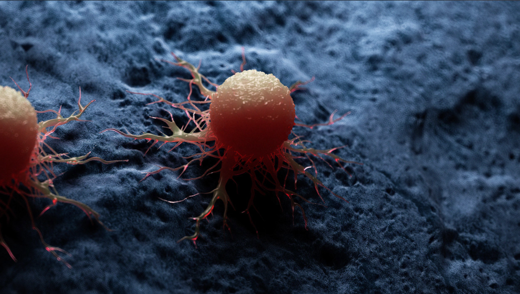 文献解读|Cancer Cell（48.8）：综合空间分析揭示肿瘤异质性和免疫克