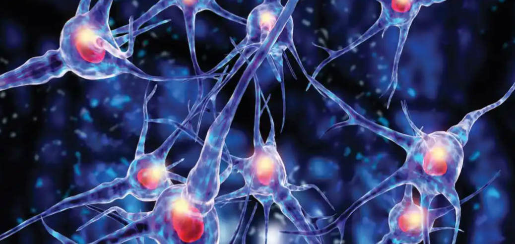 文献解读|Nat Commun（14.7）：衰老和饮食改变小鼠大脑中的蛋白质泛素