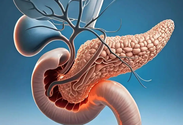 文献解读|Signal Transduct Target Ther（52.7）：