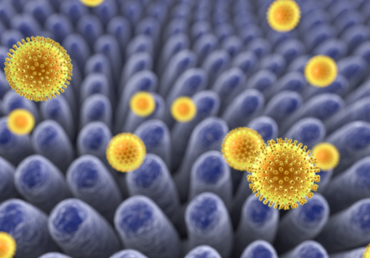 文献解读|Cell（42.5）：爬行脂肪来源的机械敏感性成纤维细胞驱动克罗恩病狭