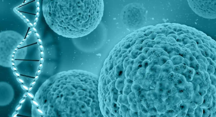 文献解读|Nature（48.5）：多组学分析揭示健康成年人与年龄相关的免疫动态