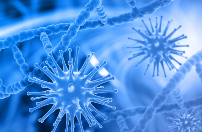 文献解读|Cancer Discov（33.3）：整合蛋白质基因组学和正向遗传学