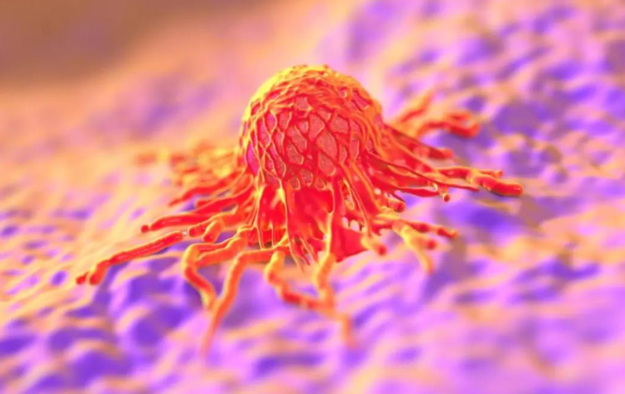 文献解读|Signal Transduct Target Ther（52.7）：