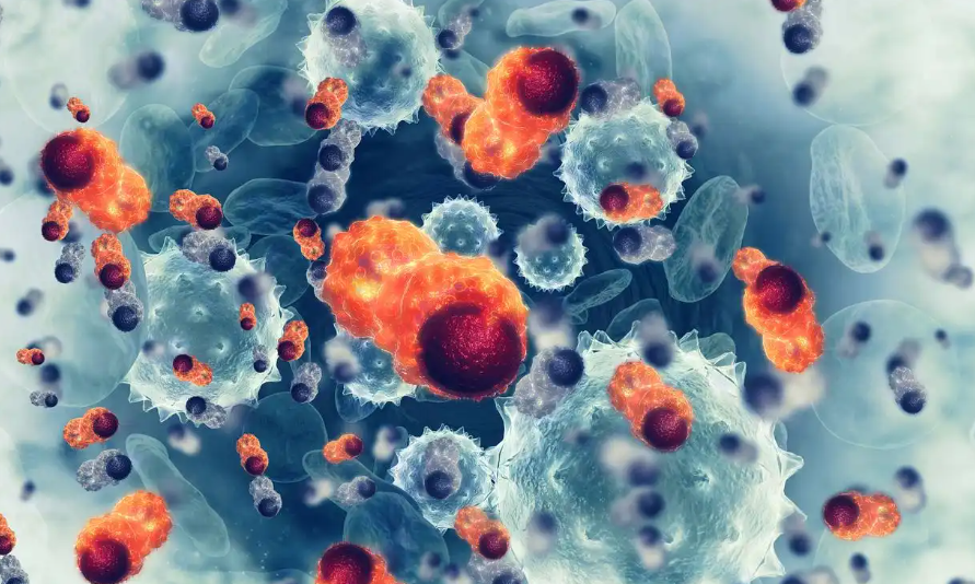 文献解读|Nat Med（50）：血浆蛋白质组学将大脑和免疫系统衰老与健康寿命和