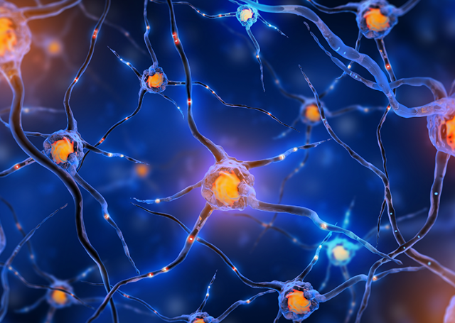 文献解读|Cancer Cell（44.5）：生酮饮食通过促进肠道菌群产生的丁酸