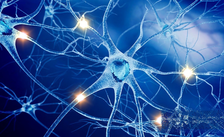 文献解读|Cancer Cell（44.5）：基于蛋白质的分类揭示了IDH突变型