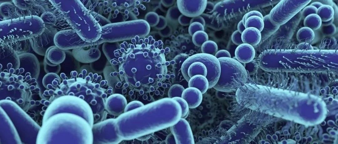 文献解读|Gastroenterology（17.373）：结直肠癌组织中微生物