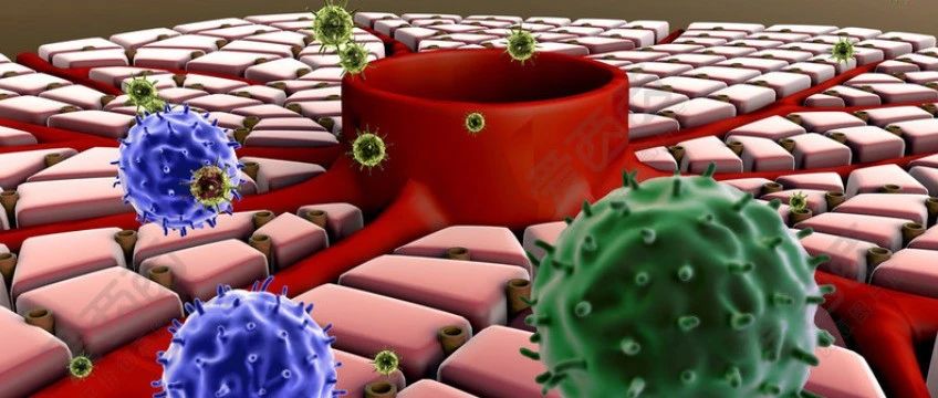 文献解读|Hepatobiliary Surg Nutr（5.296）：中国肝细