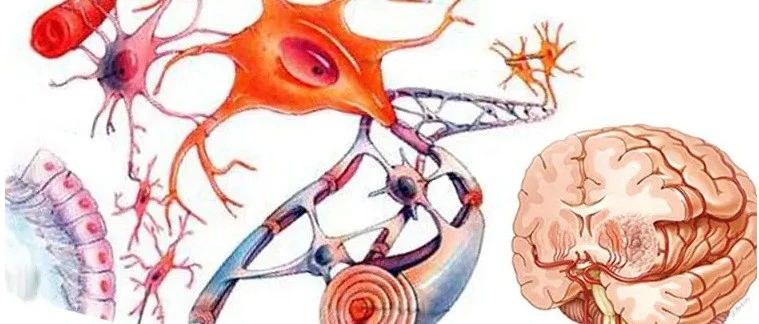 文献解读|J Nanobiotechnology（9.429）仿生型GBM靶向给