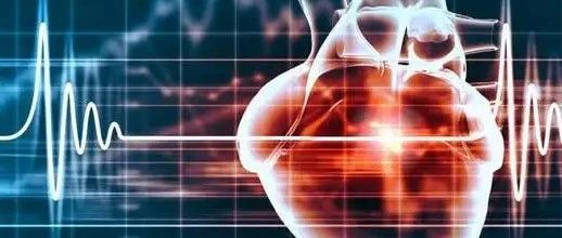 文献解读|J Nanobiotechnology（9.429）源于人心球衍生细胞