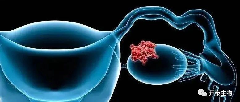 文献解读|Cell Death Dis（9.685）：肿瘤微环境研究热点：癌相关