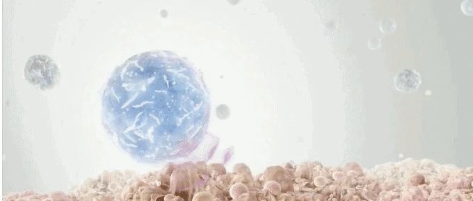 文献解读|CANCER IMMUNOL IMMUN（6.968）：非小细胞肺癌患