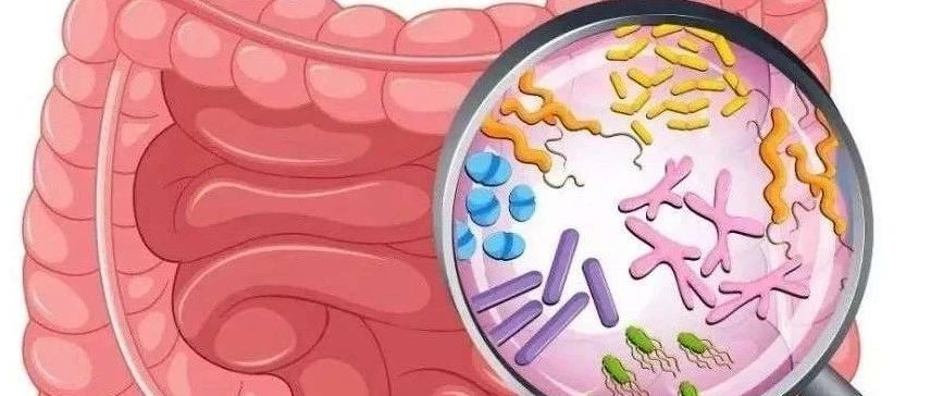 文献解读|Microbiol Spectr（5.465）：多组学分析揭示异常代谢