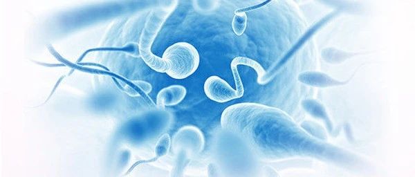 文献解读|BMC Genomics（4.547）：转录组m6A表达谱分析揭示猪精