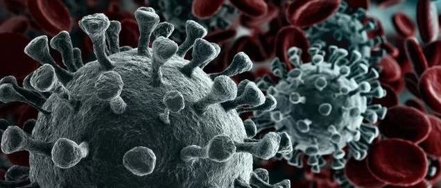 文献解读|Virol J（5.913）：2019冠状病毒疾病与细菌性败血症之间的