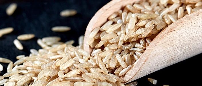 文献解读|Ultrason Sonochem（9.336）：转录组和代谢组联合分