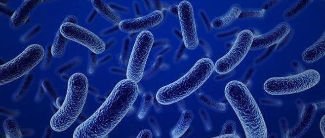 文献解读|Cell Rep（9.995）：癌症化疗药物 5-氟尿嘧啶是一种有效的