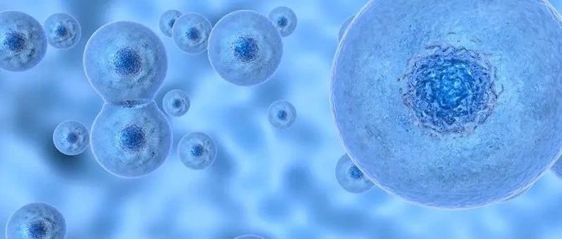 文献解读|Exp Mol Med（12.153）：人骨髓间充质干细胞单细胞RNA