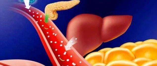 文献解读|Food sci hum well（8.022）：粪便代谢组学揭示蜂胶