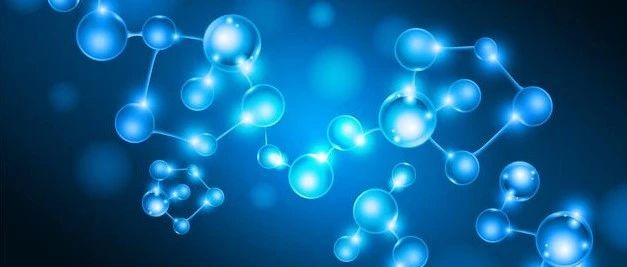 文献解读|Antioxidants（7.675）：褪黑素减轻H2O2诱导的猪滋养