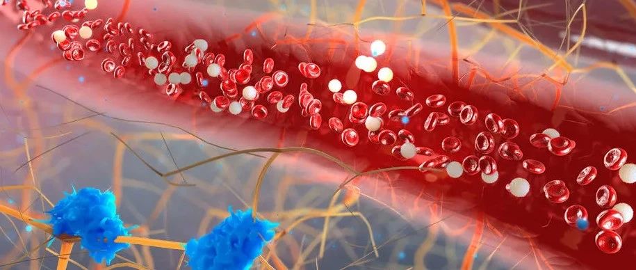 文献解读|（10.514）：单细胞转录组分析揭示小鼠中MicroRNA-126在