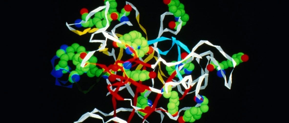 文献解读|Cell Rep（9.995）：α1 抗胰蛋白酶杂合性的人 iPSC 