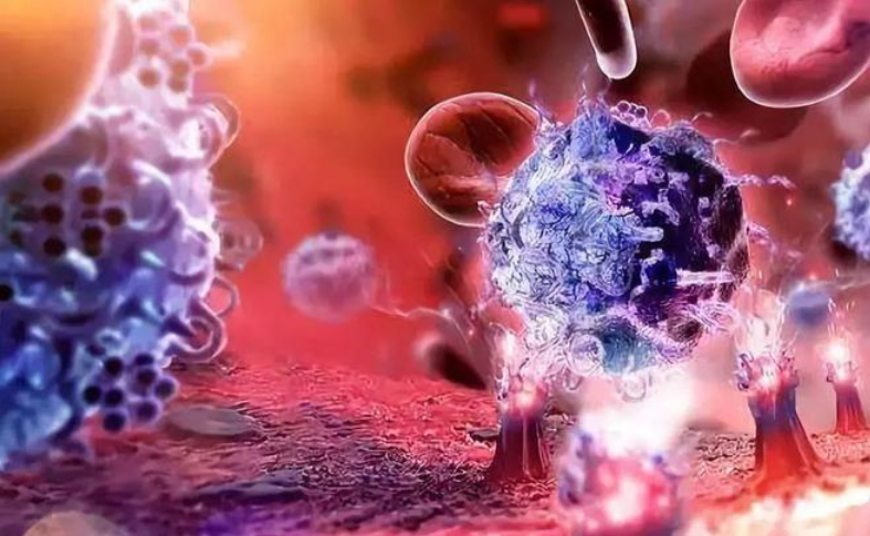 文献解读|Cell Metab（30.9）：肠道菌群衍生的脱氧胆酸塑造免疫抑制性