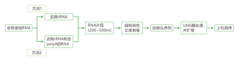 投注平台app下载