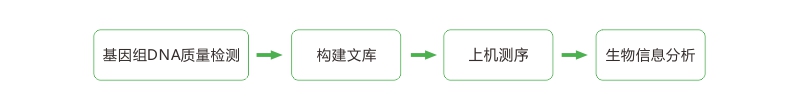 投注平台app下载