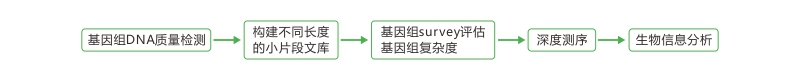 投注平台app下载