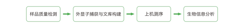 投注平台app下载
