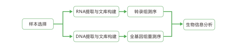 投注平台app下载