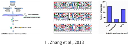 投注平台app下载