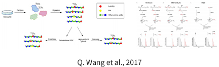 投注平台app下载