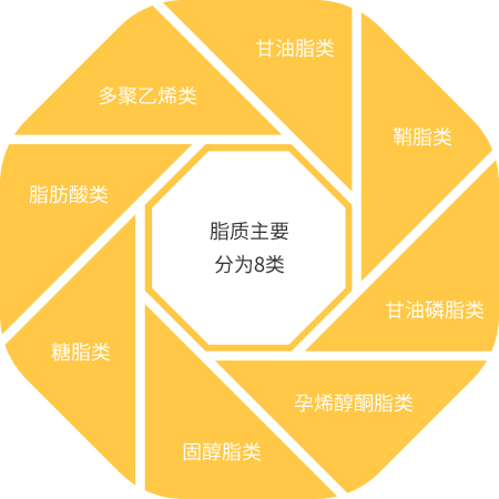 投注平台app下载