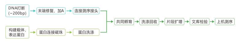 投注平台app下载