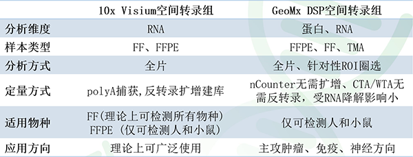 投注平台app下载