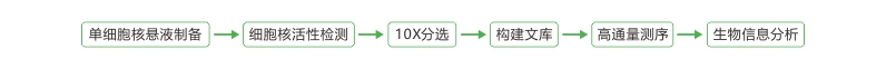 投注平台app下载