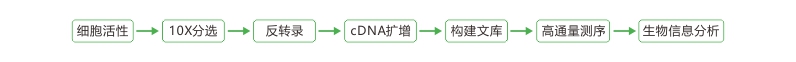 投注平台app下载
