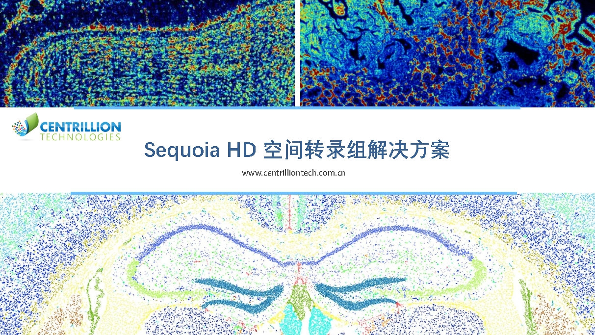 投注平台app下载