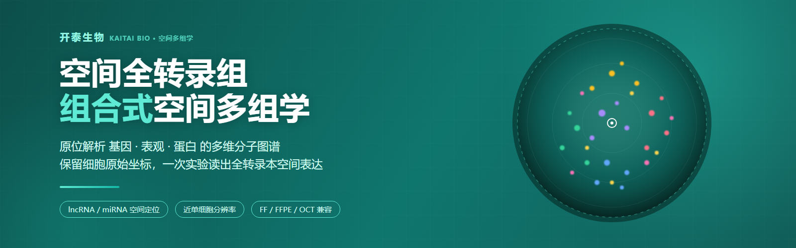 投注平台app下载